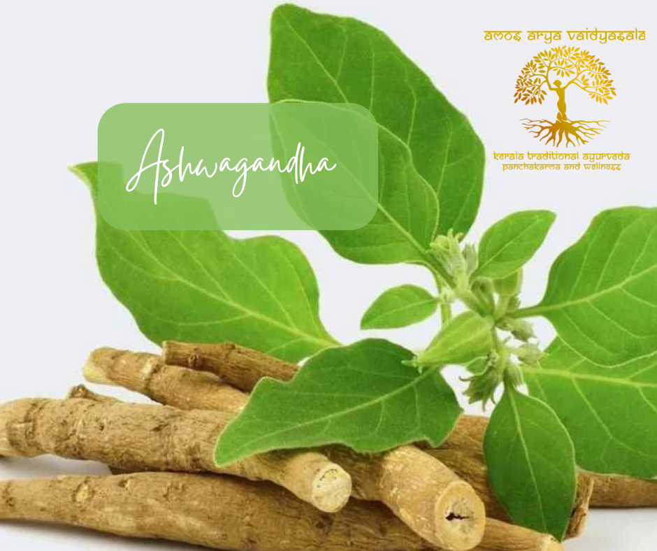 What are the properties of Ashwagandha plant